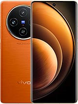 Vivo X100 (5G)